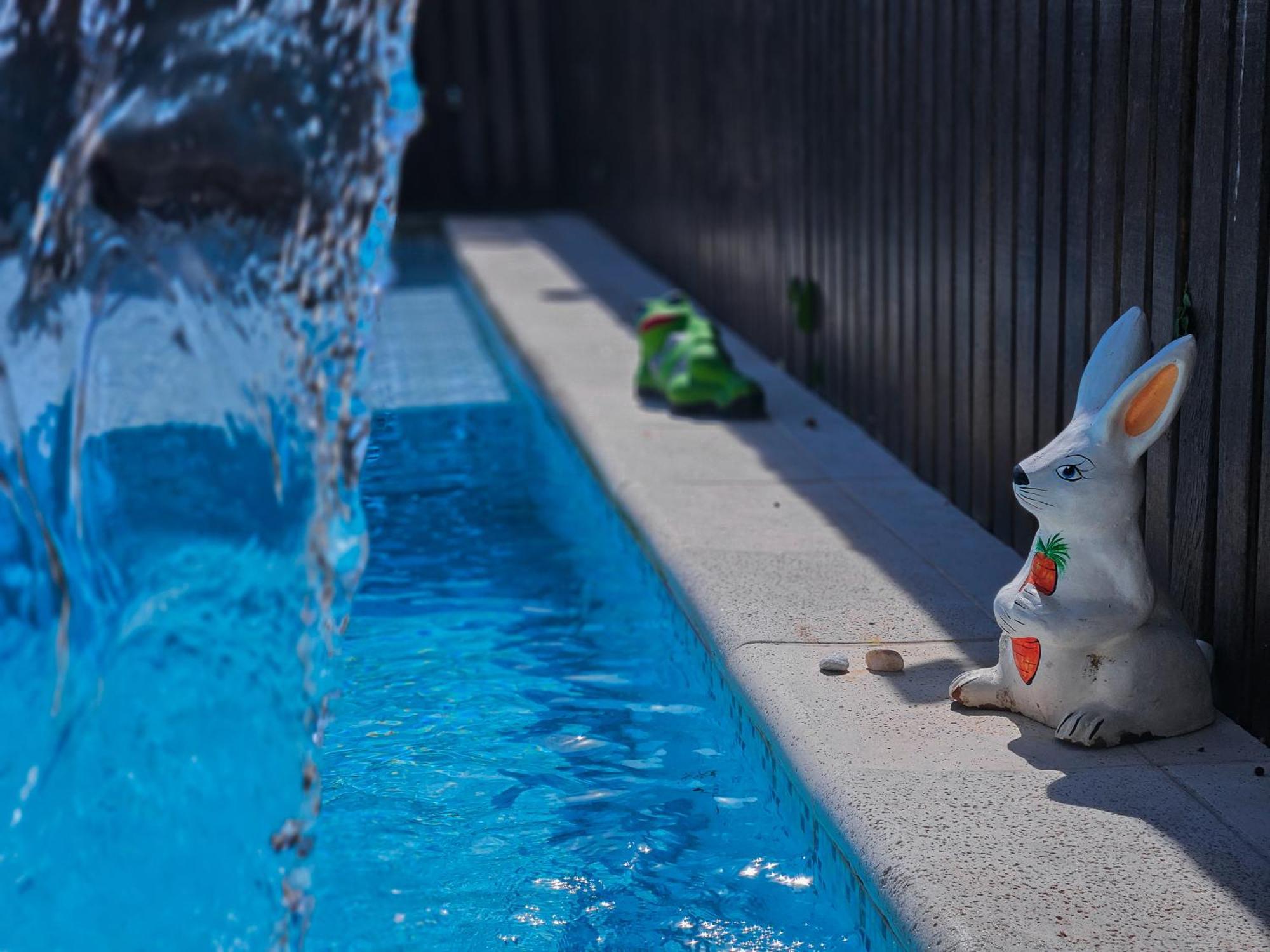 Hotel Bella Vista Ocean View Búzios Exterior foto A bunny watering can